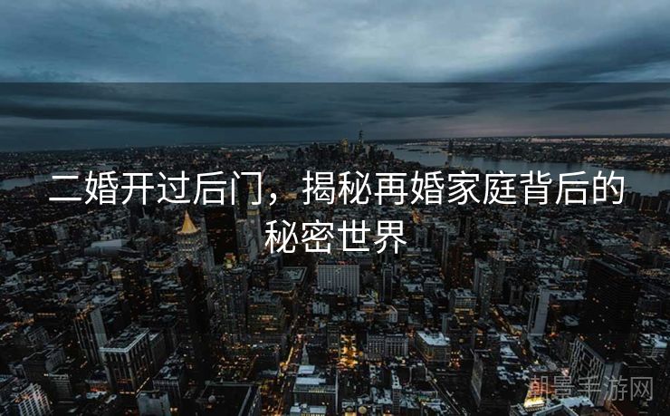 二婚开过后门，揭秘再婚家庭背后的秘密世界