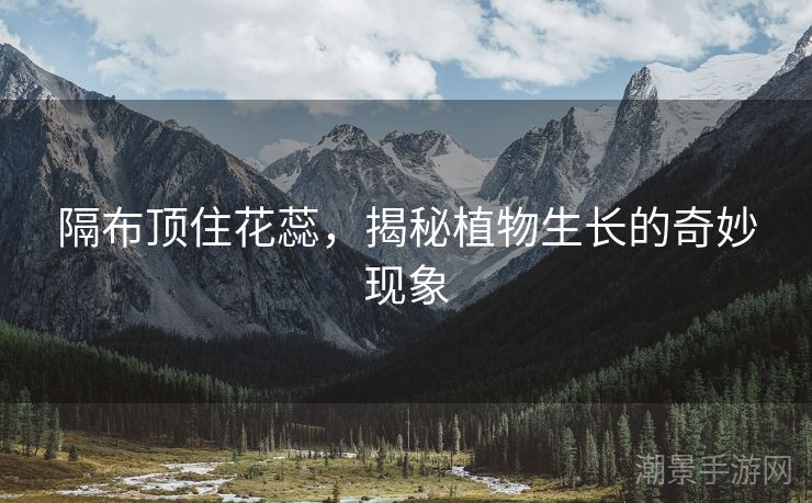 隔布顶住花蕊，揭秘植物生长的奇妙现象