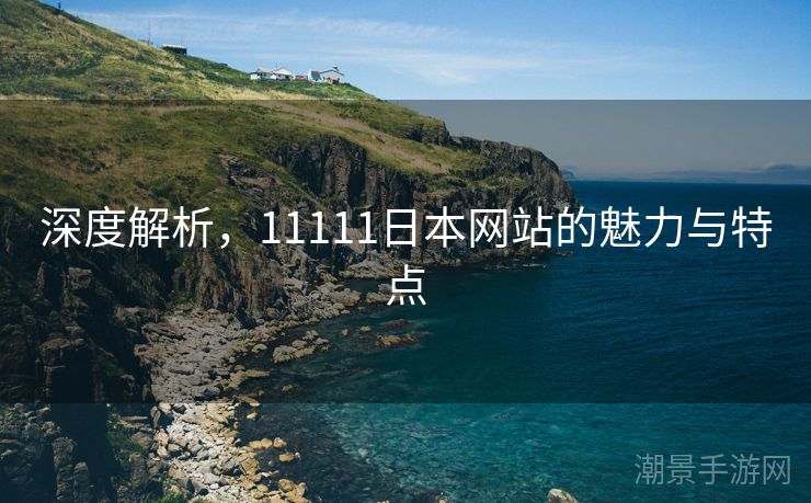 深度解析，11111日本网站的魅力与特点