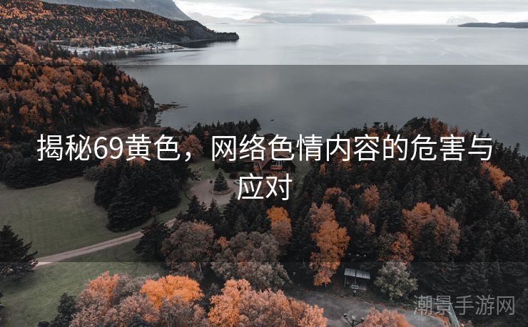 揭秘69黄色，网络色情内容的危害与应对