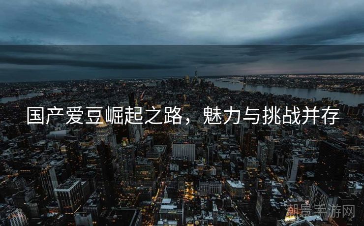国产爱豆崛起之路，魅力与挑战并存