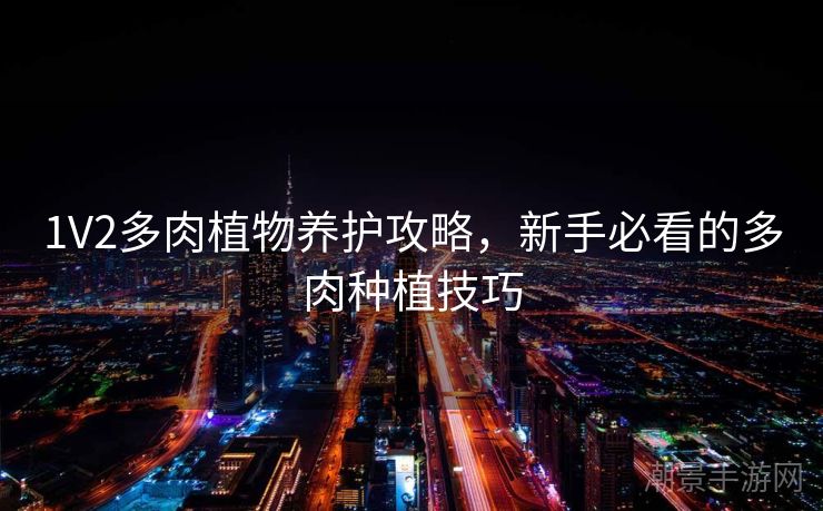1V2多肉植物养护攻略，新手必看的多肉种植技巧