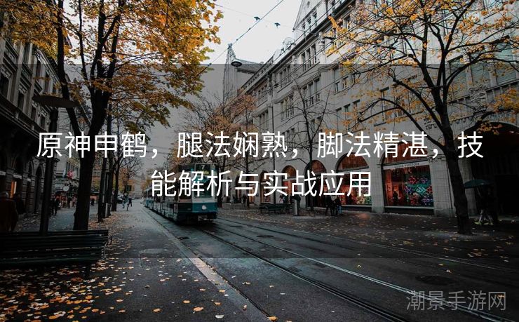 原神申鹤，腿法娴熟，脚法精湛，技能解析与实战应用
