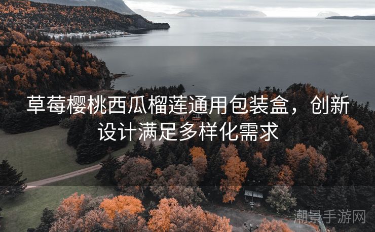 草莓樱桃西瓜榴莲通用包装盒，创新设计满足多样化需求