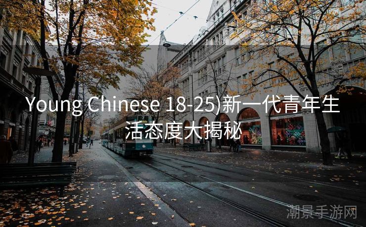 Young Chinese 18-25)新一代青年生活态度大揭秘
