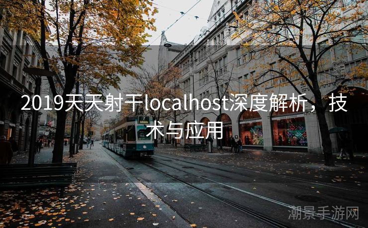 2019天天射干localhost深度解析，技术与应用