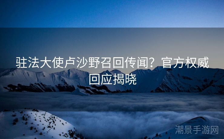 驻法大使卢沙野召回传闻？官方权威回应揭晓