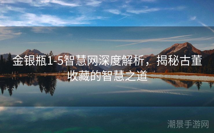 金银瓶1-5智慧网深度解析，揭秘古董收藏的智慧之道