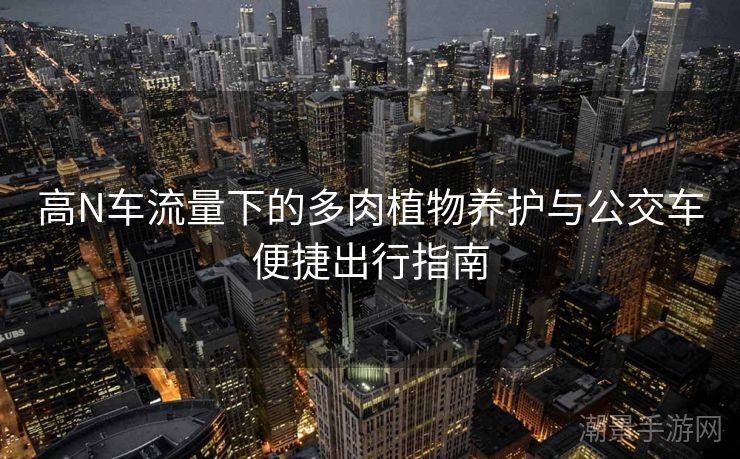 高N车流量下的多肉植物养护与公交车便捷出行指南