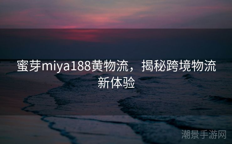 蜜芽miya188黄物流，揭秘跨境物流新体验
