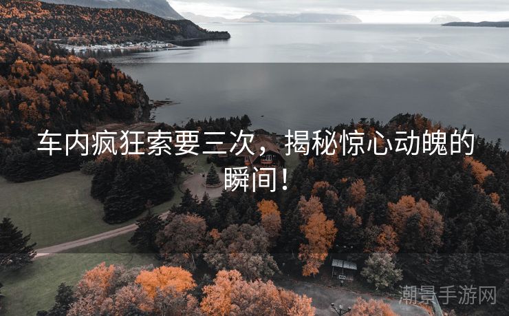 车内疯狂索要三次，揭秘惊心动魄的瞬间！