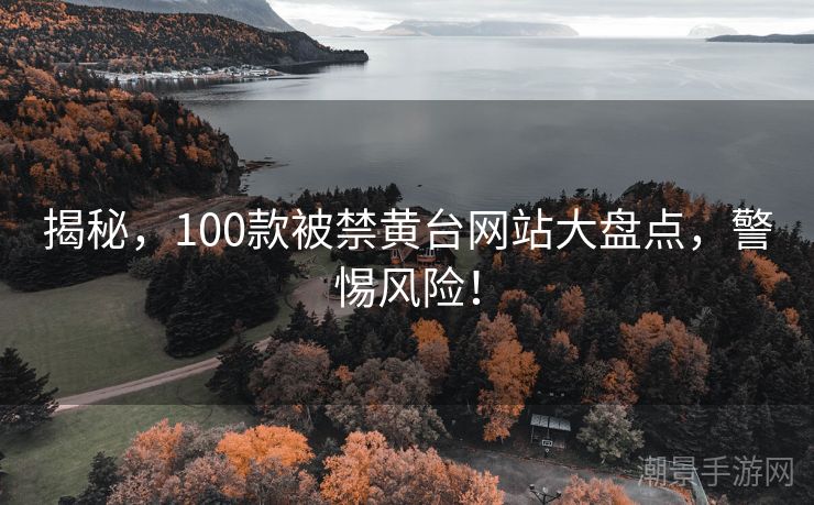 揭秘，100款被禁黄台网站大盘点，警惕风险！
