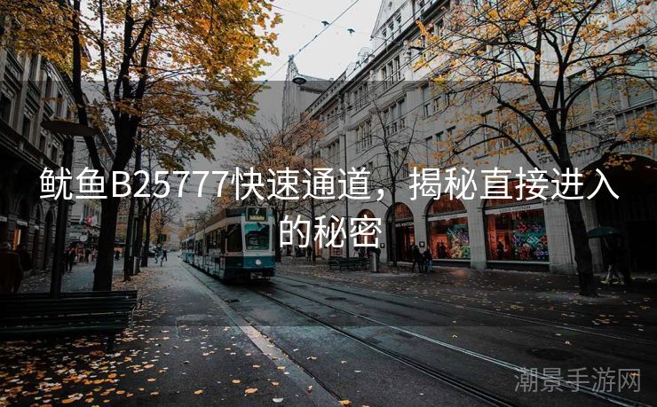 鱿鱼B25777快速通道，揭秘直接进入的秘密