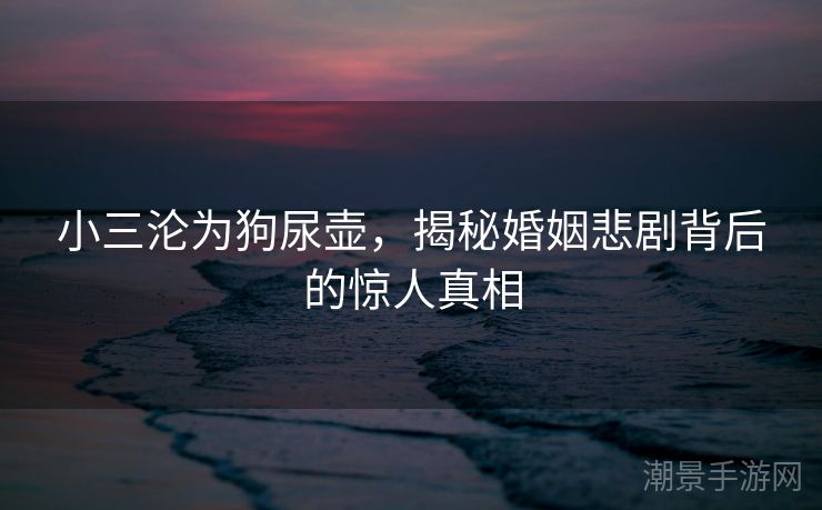 小三沦为狗尿壶，揭秘婚姻悲剧背后的惊人真相