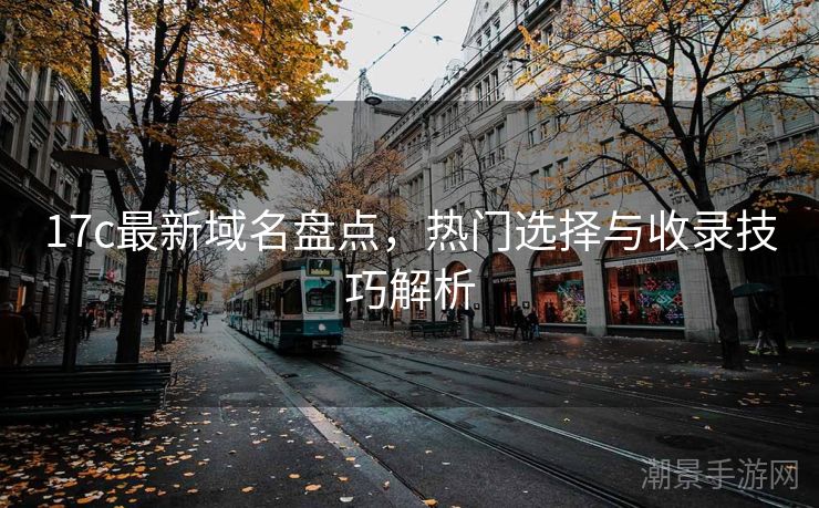 17c最新域名盘点，热门选择与收录技巧解析