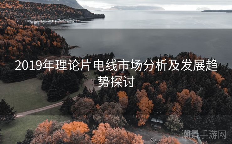 2019年理论片电线市场分析及发展趋势探讨