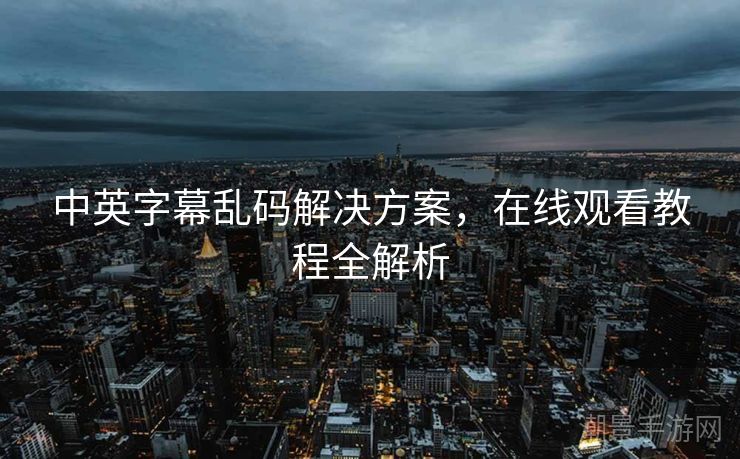 中英字幕乱码解决方案，在线观看教程全解析