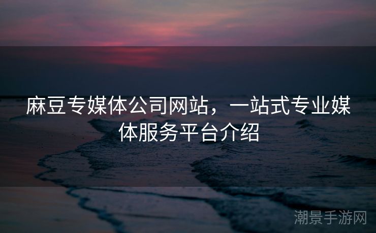 麻豆专媒体公司网站，一站式专业媒体服务平台介绍