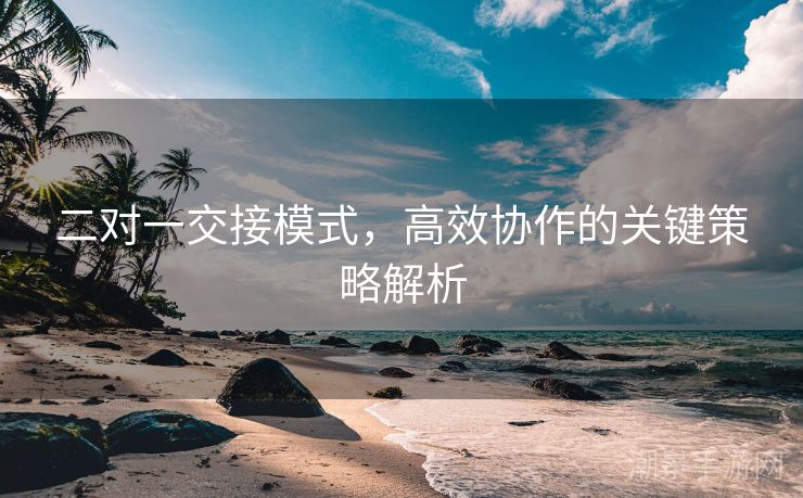 二对一交接模式，高效协作的关键策略解析
