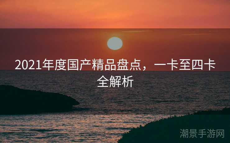 2021年度国产精品盘点，一卡至四卡全解析