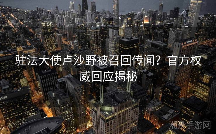 驻法大使卢沙野被召回传闻？官方权威回应揭秘