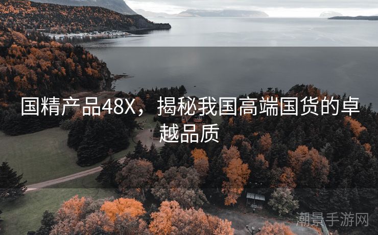 国精产品48X，揭秘我国高端国货的卓越品质