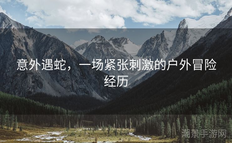 意外遇蛇，一场紧张刺激的户外冒险经历