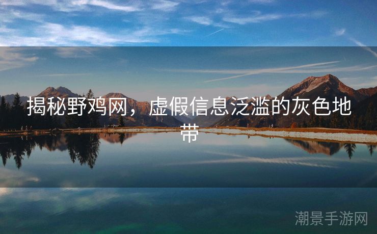 揭秘野鸡网，虚假信息泛滥的灰色地带