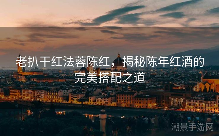 老扒干红法蓉陈红，揭秘陈年红酒的完美搭配之道