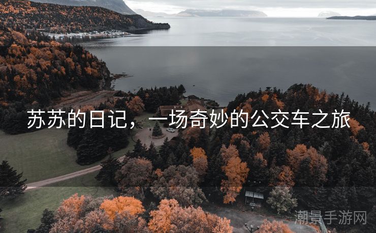 苏苏的日记，一场奇妙的公交车之旅