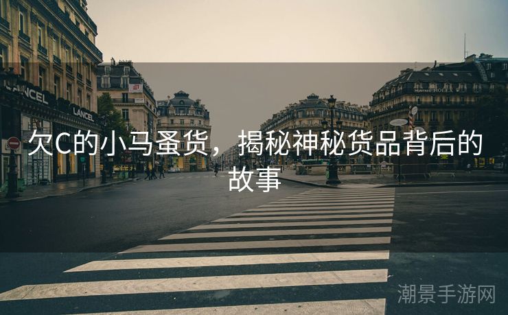欠C的小马蚤货，揭秘神秘货品背后的故事