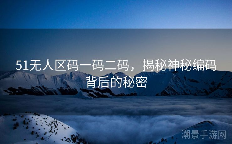 51无人区码一码二码，揭秘神秘编码背后的秘密