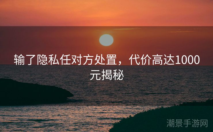 输了隐私任对方处置，代价高达1000元揭秘
