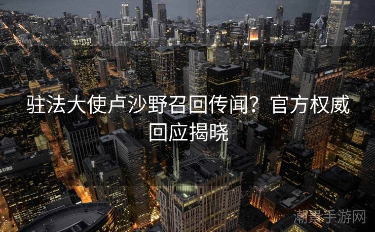 驻法大使卢沙野召回传闻？官方权威回应揭晓
