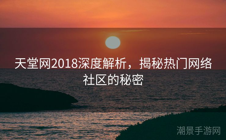 天堂网2018深度解析，揭秘热门网络社区的秘密