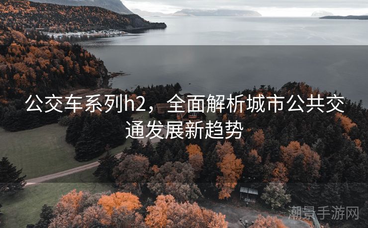 公交车系列h2，全面解析城市公共交通发展新趋势