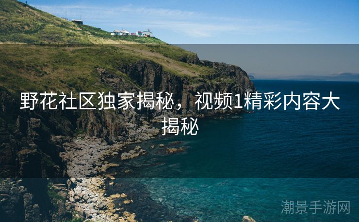 野花社区独家揭秘，视频1精彩内容大揭秘