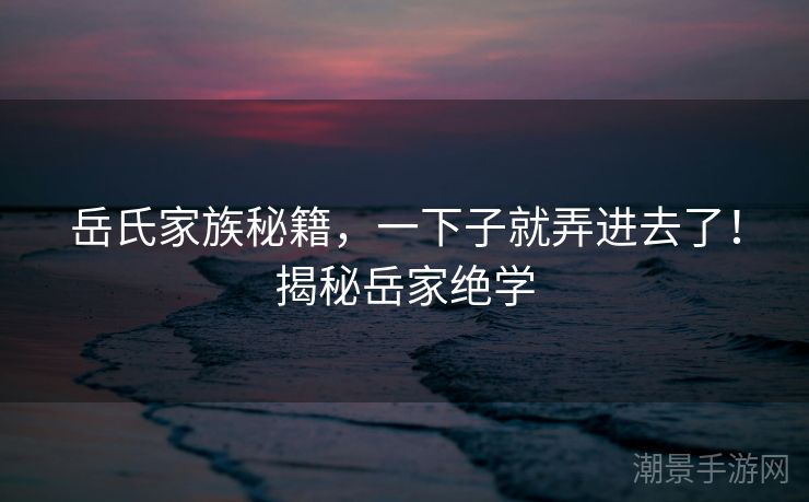 岳氏家族秘籍，一下子就弄进去了！揭秘岳家绝学