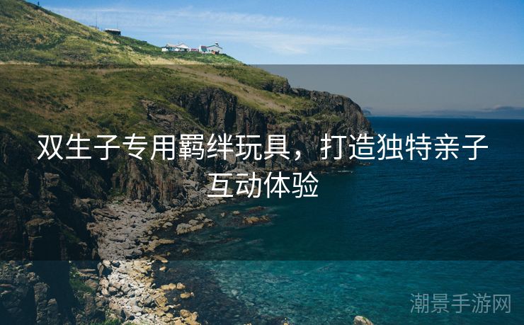 双生子专用羁绊玩具，打造独特亲子互动体验