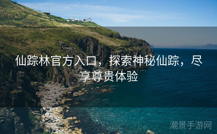 仙踪林官方入口，探索神秘仙踪，尽享尊贵体验