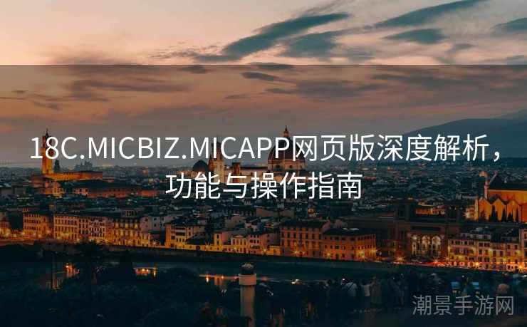 18C.MICBIZ.MICAPP网页版深度解析，功能与操作指南