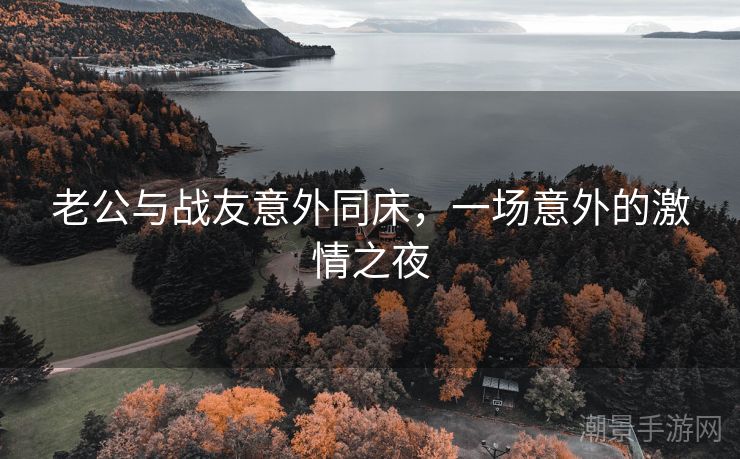 老公与战友意外同床，一场意外的激情之夜