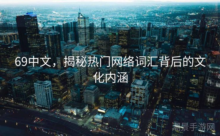 69中文，揭秘热门网络词汇背后的文化内涵