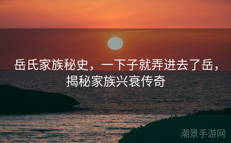 岳氏家族秘史，一下子就弄进去了岳，揭秘家族兴衰传奇