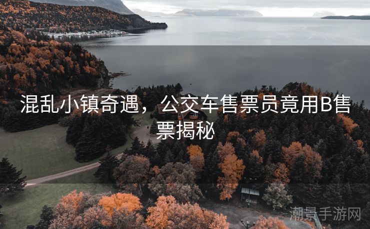 混乱小镇奇遇，公交车售票员竟用B售票揭秘