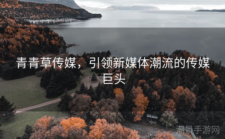 青青草传媒，引领新媒体潮流的传媒巨头
