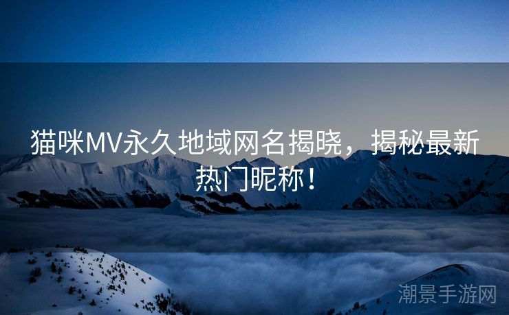 猫咪MV永久地域网名揭晓，揭秘最新热门昵称！