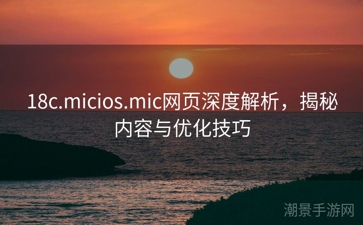 18c.micios.mic网页深度解析，揭秘内容与优化技巧