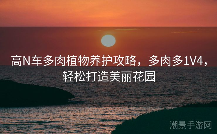 高N车多肉植物养护攻略，多肉多1V4，轻松打造美丽花园
