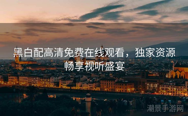 黑白配高清免费在线观看，独家资源畅享视听盛宴